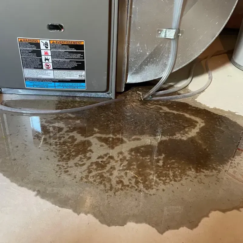 Appliance Leak Cleanup in Lake City, FL